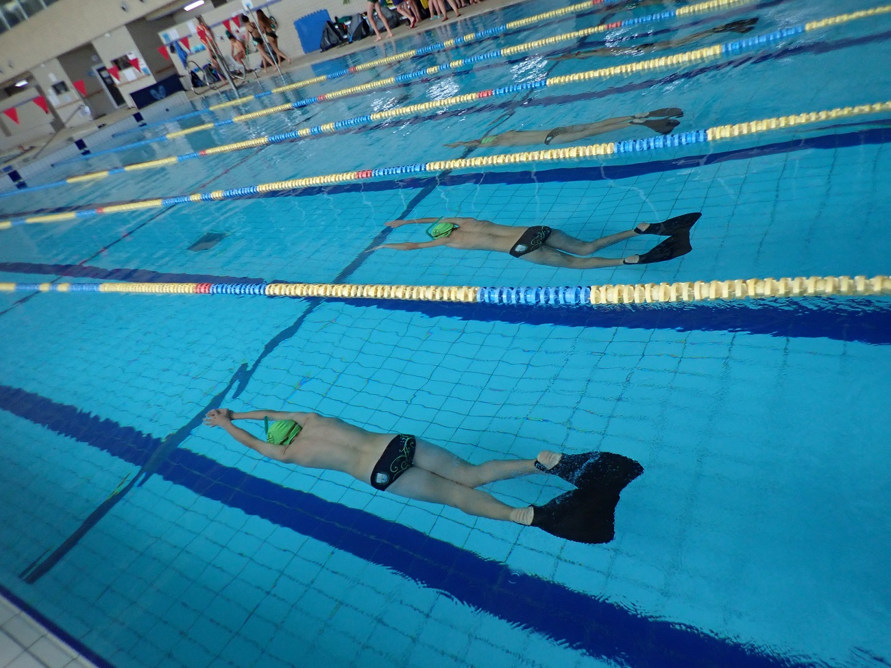 Resultados y puntuación 4ª jornada JDN de Natación con Aletas